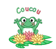 Gif animé coucou grenouille